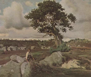 Forest of Fontainebleau